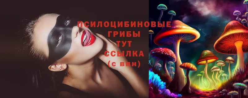 Псилоцибиновые грибы Psilocybe  дарнет шоп  Мантурово 